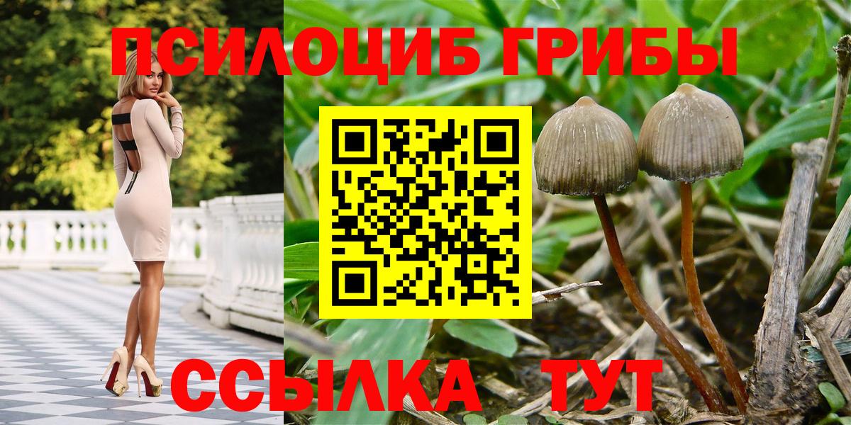 Псилоцибиновые грибы Psilocybine cubensis  Галлюциногенные грибы прущие грибы  Качканар  Вход с VPN 