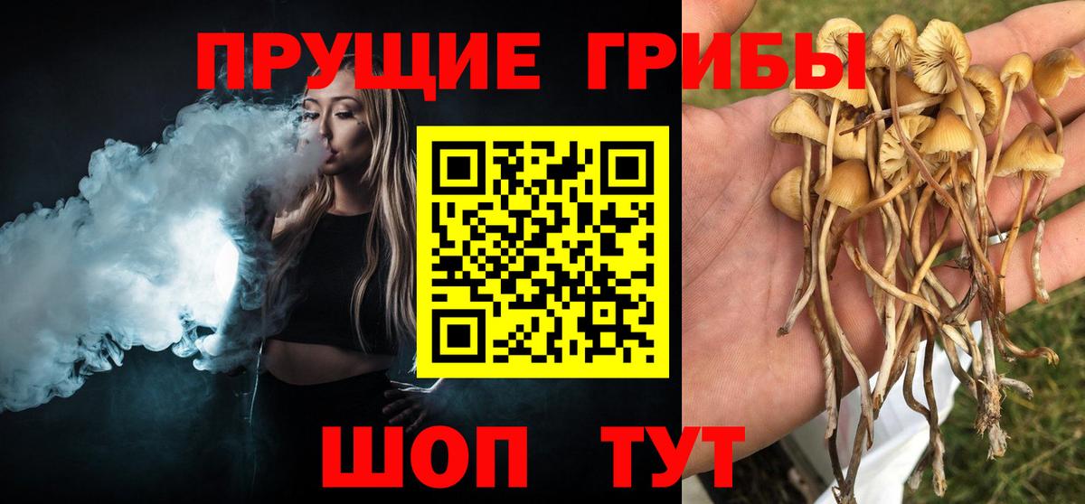 Галлюциногенные грибы мицелий Качканар
